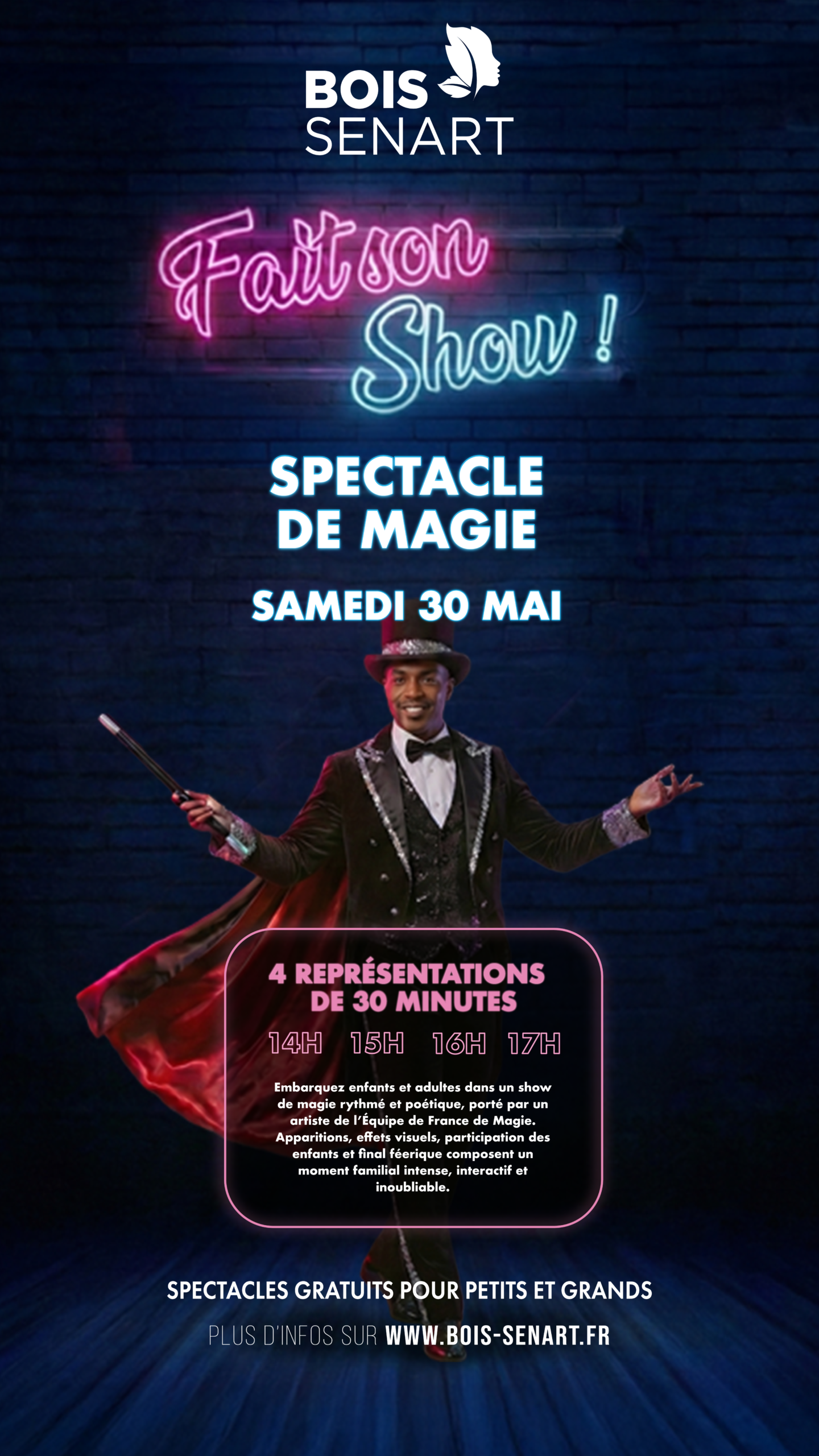 BS FAIS SON SHOW DECLIS WEB-06