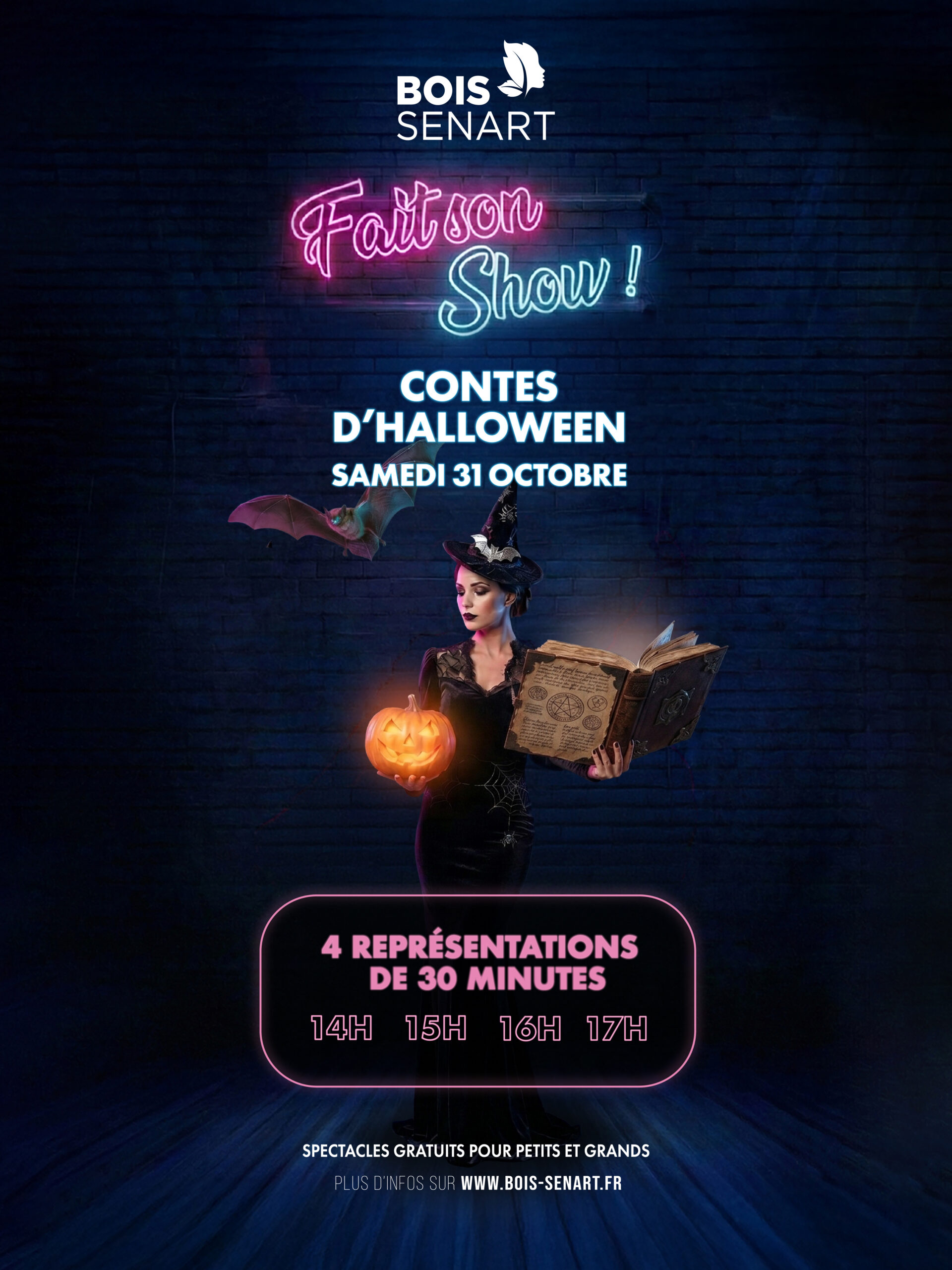 BS FAIS SON SHOW DECLIS WEB_1080x1440 copie 3